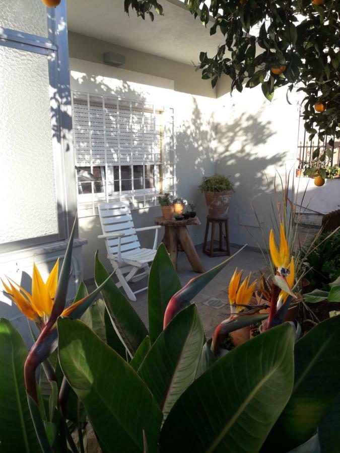 Sun House Daire Cascais Dış mekan fotoğraf